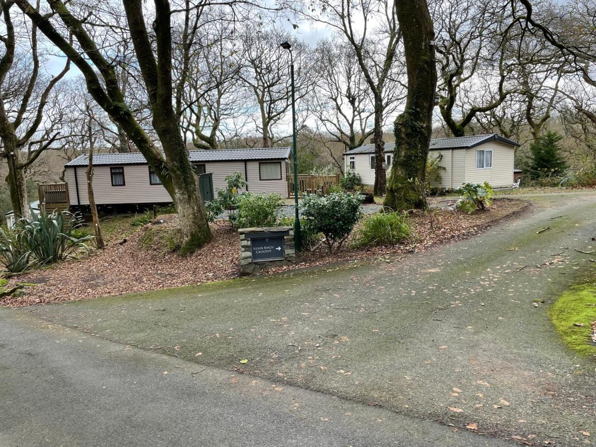 Snowdonia Holidays Caravan Hire - Aberdunant Park - 111 Silver Birch Porthmadog Exterior foto